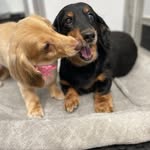 Pam Cockman Travis - @pltravis - Instagram