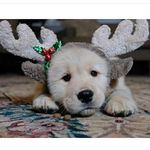 Pam Sheehan Travis - @pams_trav - Instagram