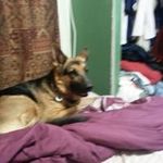 Pam Travis - @pam_travis - Instagram