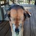 Pam Travis - Facebook