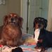Pam Olivier-Treece - Facebook