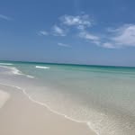 Pam Treece Moran - @morantrio - Instagram