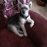 Pam Voss - @pam.voss.9 - Instagram