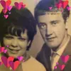 pamwarren7 - @pamwarren7 - TikTok
