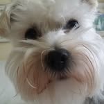 Pam Watts - @pwatts3221 - Instagram