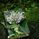 Pam Watts - @webnana2 - Instagram