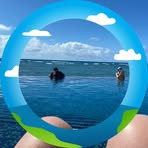Pam Weaver - Facebook