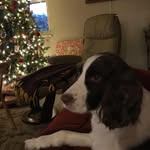 Pam Weaver - @pam.weaver.33 - Instagram