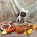 Pamela Weddle - Facebook