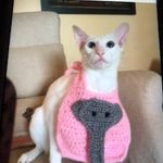 Pamela westfall - @westfall505 - Instagram