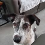 Pam Wheatley - @wheatley.pam - Instagram