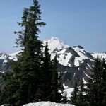 Pam Whitlock - @nana2n.t.c.c.k.l - Instagram