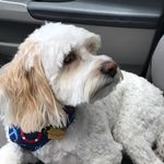 Pam Whitlock - @pam_whitlock - Instagram
