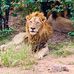 Pam Whitlock - Facebook