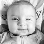 Pam Whitlock - @pamwhitlock - Instagram