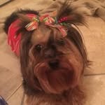 Pam Whitten - @whitten.pam - Instagram
