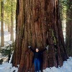 Pam Wilden - @pamwilden - Instagram