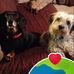 Pam Noland Wilkinson - Facebook