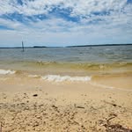 Pam Greene Wills - @pamwills1 - Instagram