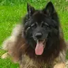 Pam Wills - @pam.wills - TikTok