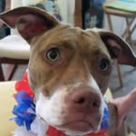 Pam Wills - @pawills01 - Instagram