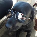 Pam Winter Cherrier - @pmwcherrier - Instagram