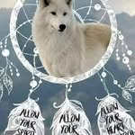 Pam Wolfe - @pamwolfe1956 - Instagram