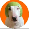Pamela.Wolfe - @jlindqzivb7 - TikTok