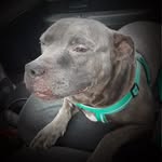Pam Basham Workman - @pjbw7734 - Instagram