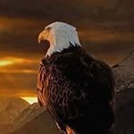 Pam Workman - @ampwork48 - Instagram