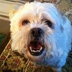 Pam Workman Poland - @pamworkmanpoland - Instagram