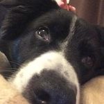 Pam Yates - @pam.yates.3557 - Instagram