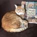 Pam Youker - Facebook