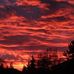 Pamela Yunker - Facebook