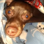 Pamela Abney - @abney3439 - Instagram