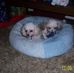 Pamela Abney - Facebook