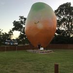 Pam Acton - @pamelaact - Instagram