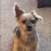 Pamela Huey - Facebook