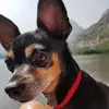 Pamela Ash - @pamela.ash5 - TikTok