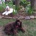 Pamela Barbee - Facebook