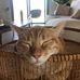 Pamela Barta - Facebook