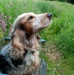 Pamela Batt - Facebook