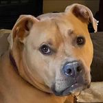 Pamela Baucom-Elliott - @pamela.elliott7317.pe - Instagram