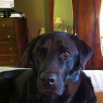 Pamela Baumgardner Dixon - @pameladixon7006 - Instagram