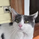 Pamela Baumgardner Toth - @toth.baumgardner - Instagram