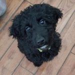Pamela King Baumgardner - @pameladkb - Instagram