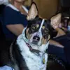 pamelabeardsley - @pamelabeardsley - TikTok