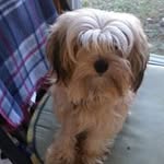 Pamela Benefield - @pamelabenefield - Instagram