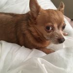 Pamela biddle - @biddle4425 - Instagram