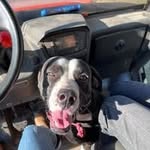 @pamela_billings9095 - Instagram